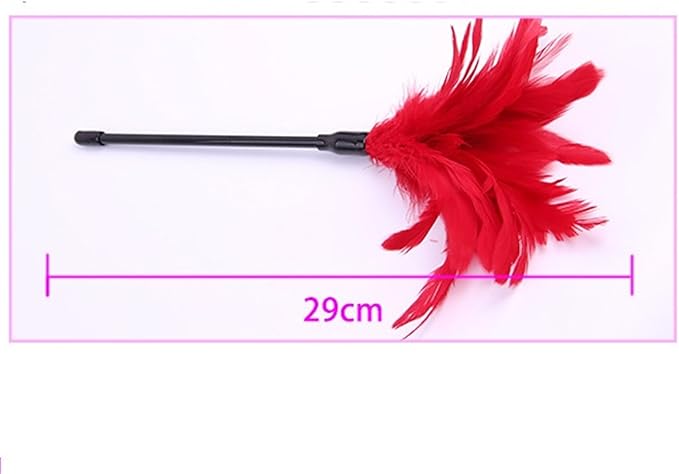 MZ2572 Zavodljiva Peruška za Igru i PredigruSensual Feather Tickler